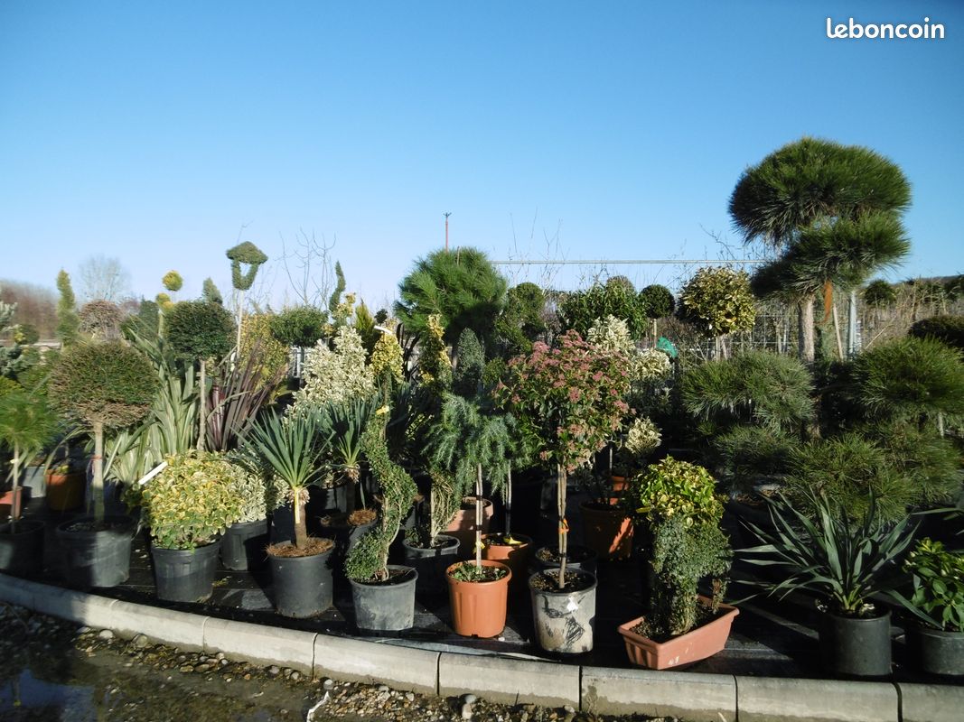 Outils De Jardinage Tondeuse D Occasion Rhone Alpes Leboncoin