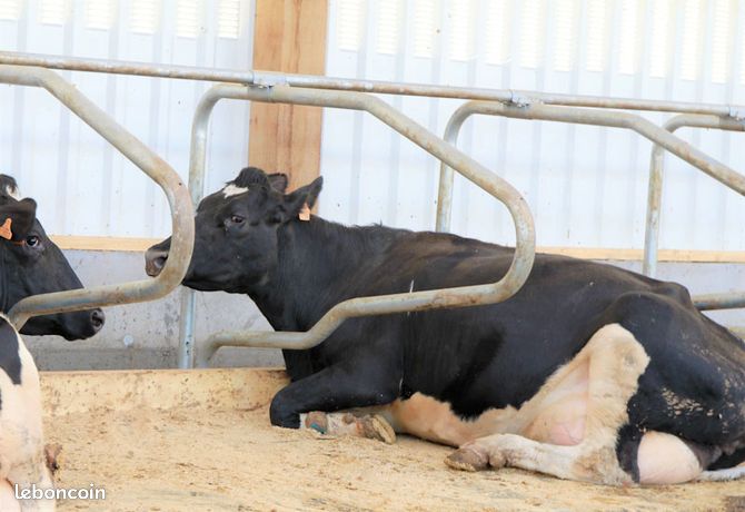 Materiel Agricole D Occasion Tracteur Isere Page 7 Leboncoin