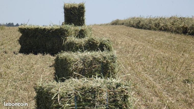 Materiel Agricole D Occasion Tracteur Calvados Page 4 Leboncoin